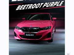 TPU-Betroot Purple