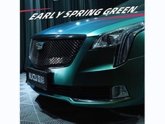 TPU-Wczesna wiosna zielona (błyskotliwa)