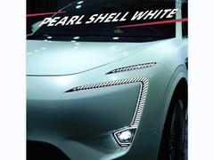 TPU-Pearl Shell Biały